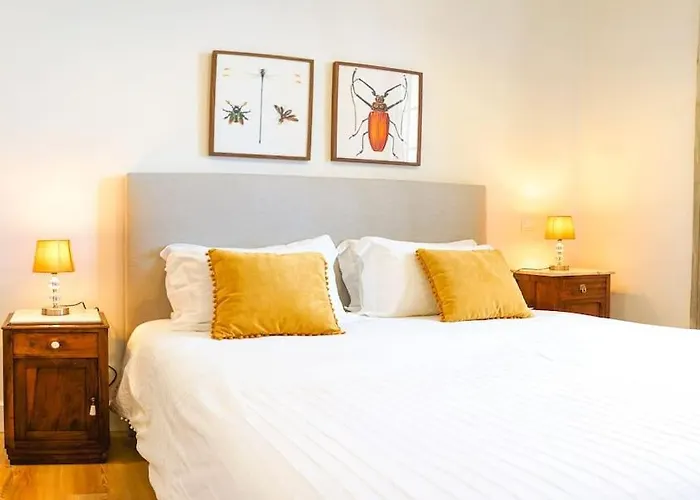 Renovated Traditional House W 3br & Outdoor Space