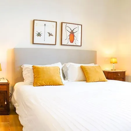 Renovated Traditional House W 3br & Outdoor Space